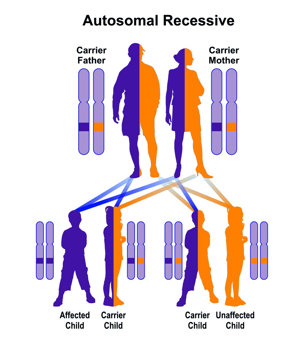 Genetic Facts Rare Disorders Society Singapore 