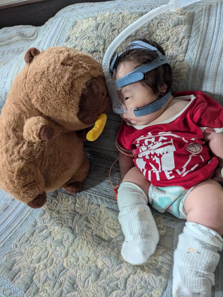 Baby Eva lying beside a capybara stuffed toy | Rare Disorders Society (Singapore) [RDSS]